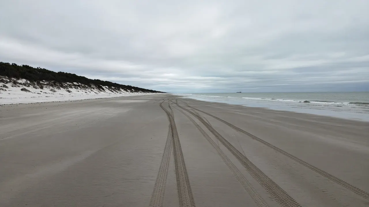 Packed wet sand and dunes along Bribie Island Ocean Beach